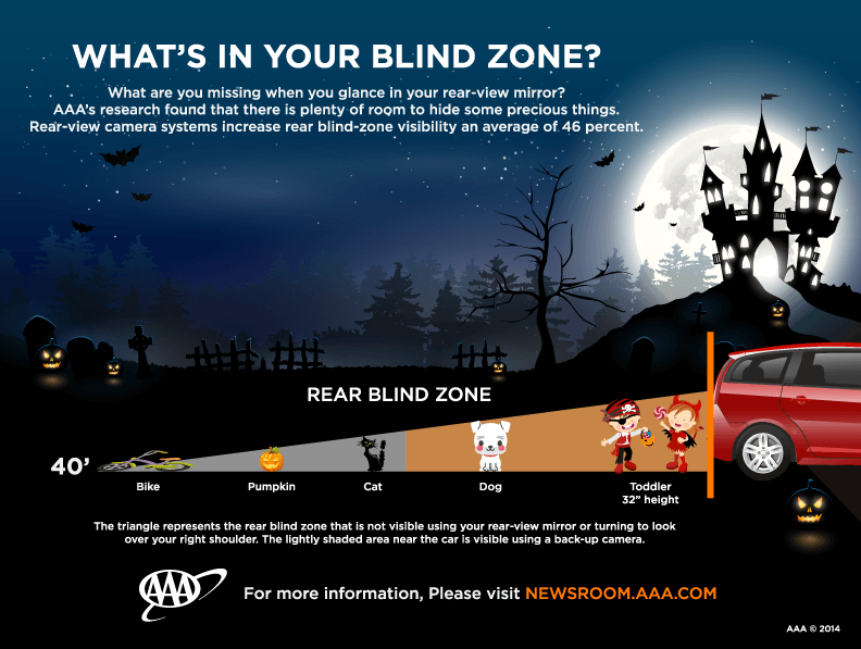 AAA infographic