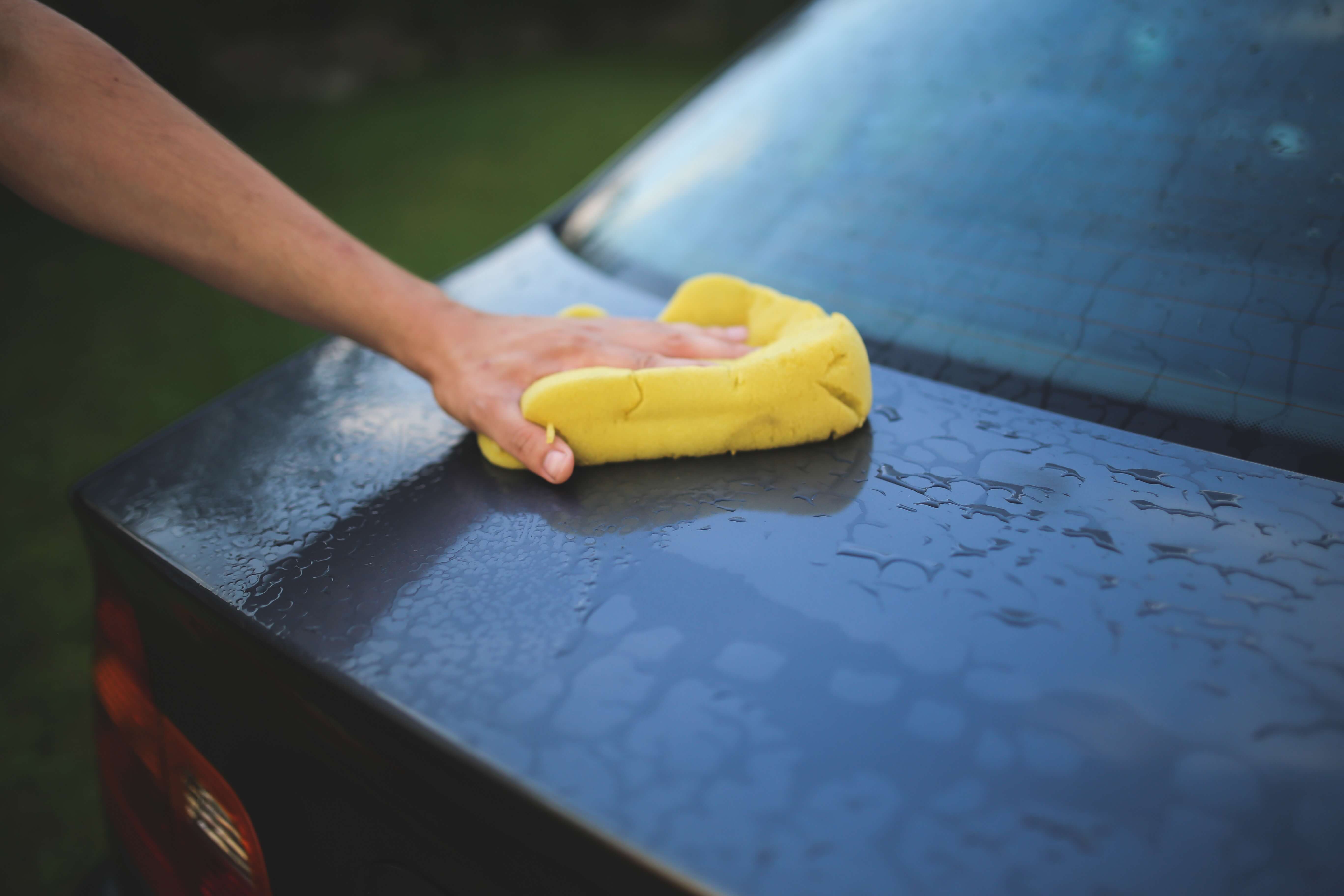 auto body paint repair