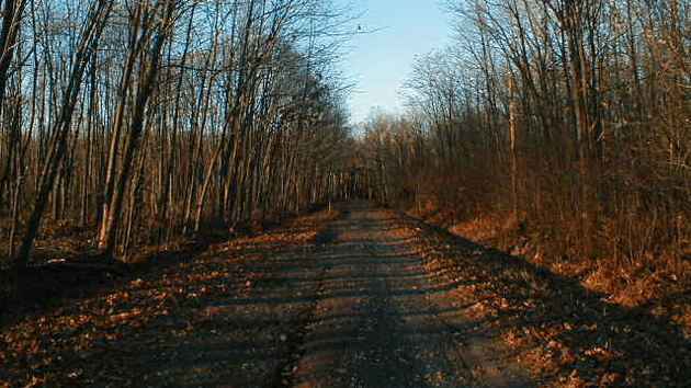 boy scout lane